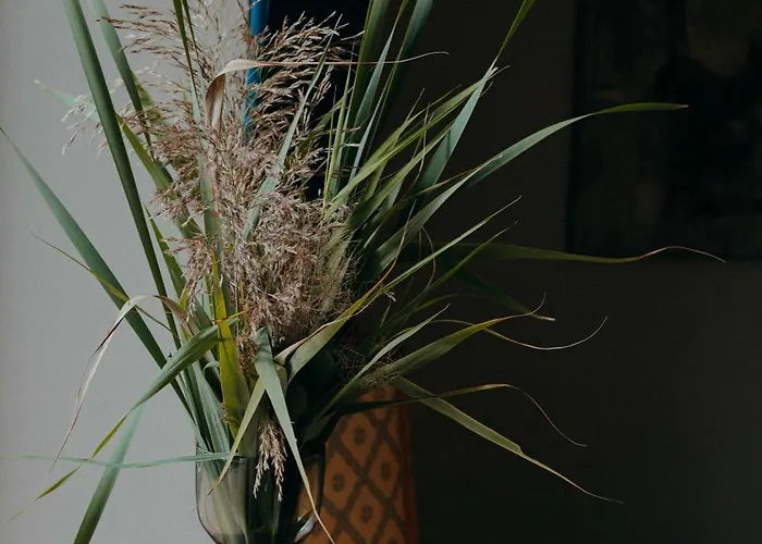 Artfolwark Wojnowo Hotel Wojnowko